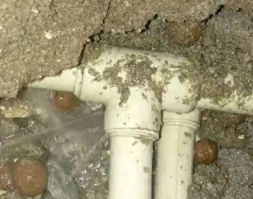 新宾测漏水多少钱