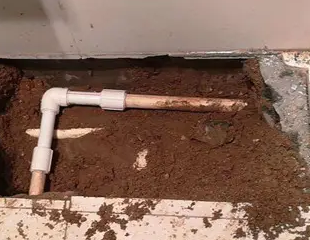 新宾测漏水哪家好