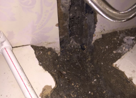 新宾卫生间测漏水哪家好