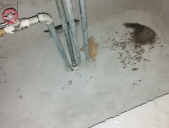 新宾卫生间测漏水价格明细