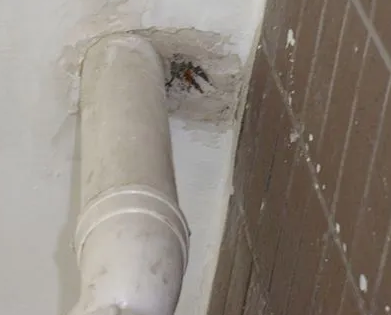 新宾漏水检测哪家好